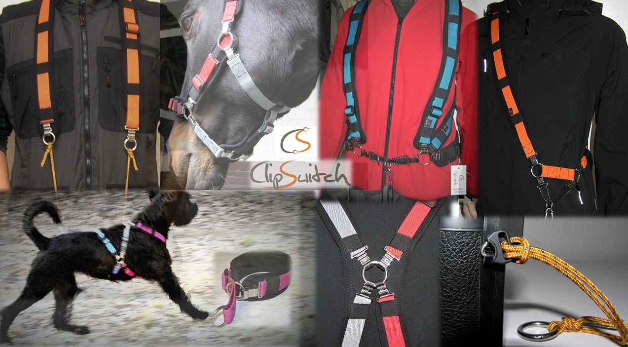 ClipSwitch Polster- & Gurtsysteme