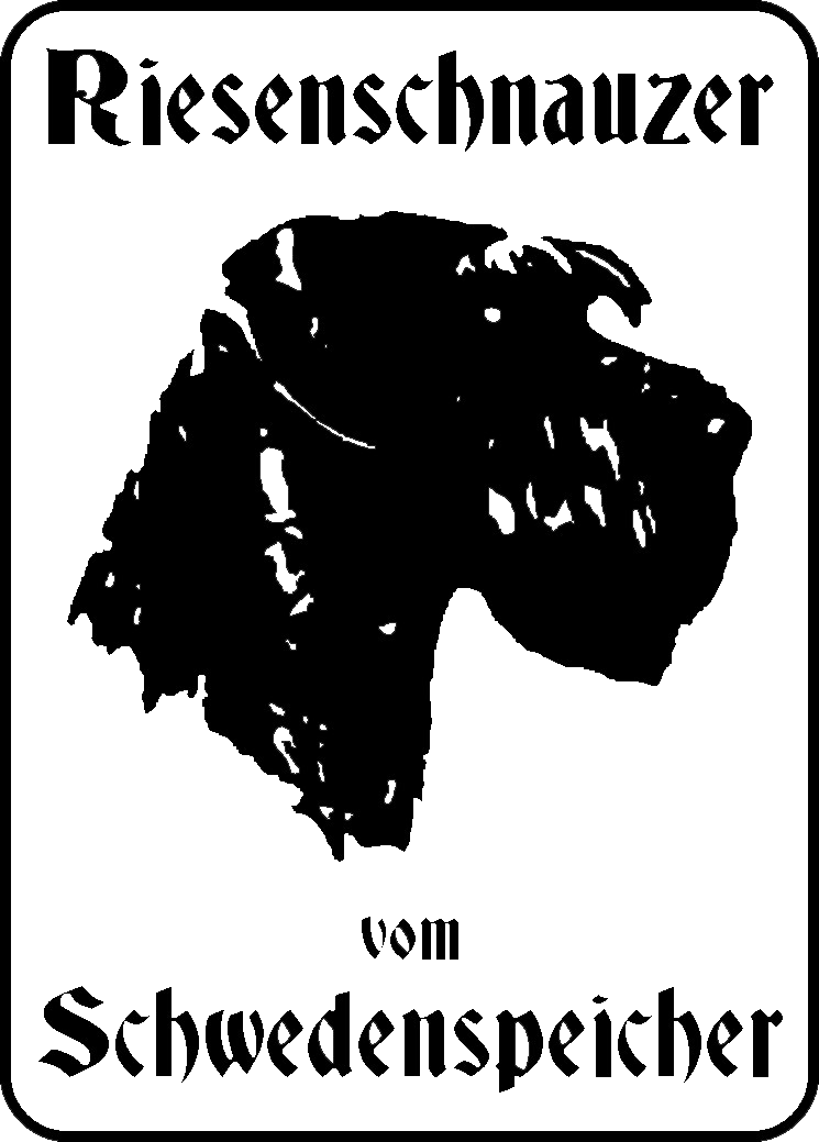 VDH Riesenschnauzer-Zucht vom Schwedenspeicher